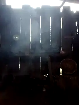 donna-bae online show from 10-03-25, 11:13