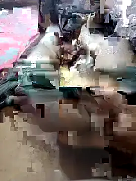 UnbowedAgronomy online show from 02-14-26, 10:50