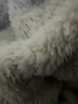 Snapshot of futsam653 chatting on 11-12-25, 09:21 futsam653 online show from 11-12-25, 09:21