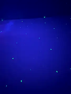 Snapshot of sweetttr chatting on 09-16-25, 08:32 sweetttr online show from 09-16-25, 08:32