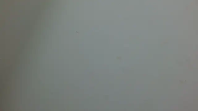 cristal1609 online show from 05-14-26, 01:07