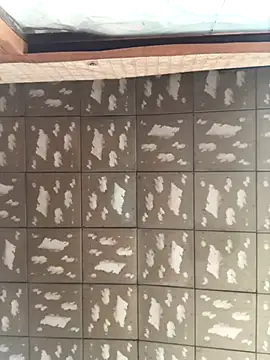 Snapshot of pualldu chatting on 11-23-25, 03:06 pualldu online show from 11-23-25, 03:06