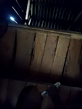 callistra online show from 10-06-25, 08:23