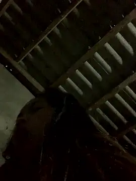 Halyy xx online show from 01-12-26, 11:54