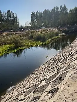 Tang-88 online show from 10-26-25, 06:52