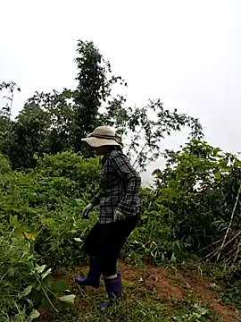 diamond-- online show from 07-25-26, 01:58