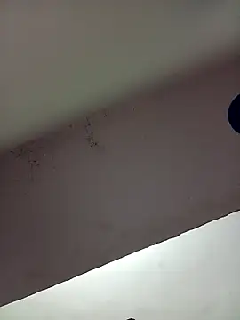 School medam online show from 12-05-25, 03:41