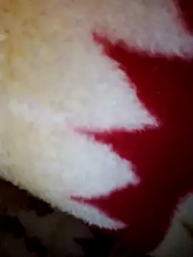 alone boy802 online show from 10-28-25, 08:29