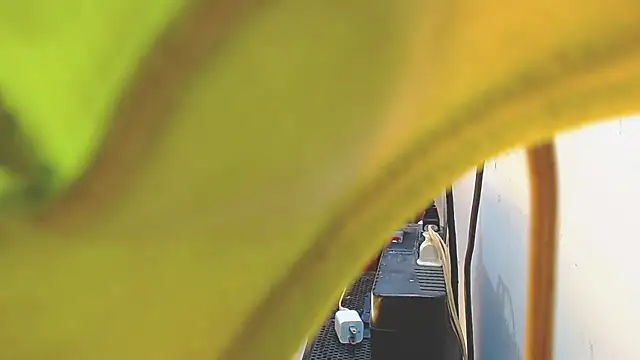 AnySugar online show from 02-15-25, 07:50