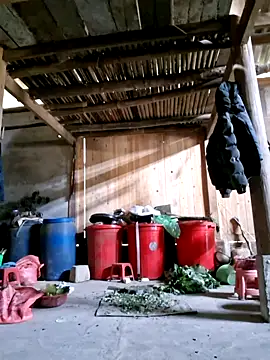 xuxulovezz online show from 02-26-26, 04:11