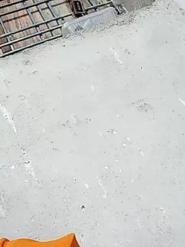 Rupali ji online show from 12-17-25, 10:21