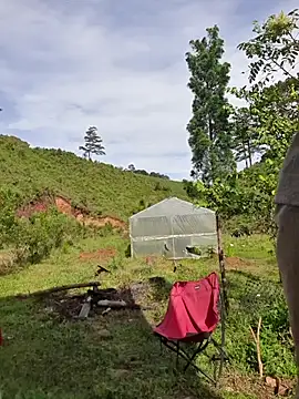 Snapshot of Helen-Tran chatting on 10-24-25, 01:35 Helen-Tran online show from 10-24-25, 01:35