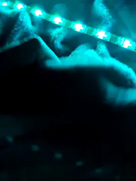 Snapshot of northboy91 chatting on 10-01-25, 09:21 northboy91 online show from 10-01-25, 09:21