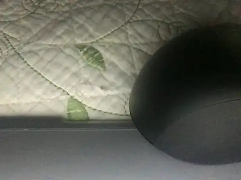 paula19800 online show from 10-03-25, 10:34