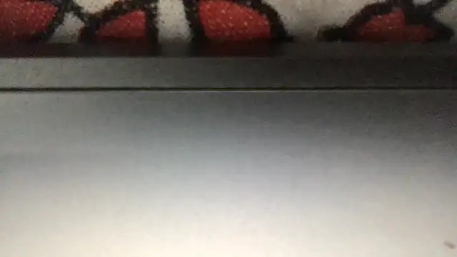 paula19800 online show from 11-25-25, 06:19