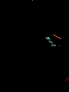 Snapshot of Gigolo31per31 chatting on 10-18-25, 02:25 Gigolo31per31 online show from 10-18-25, 02:25