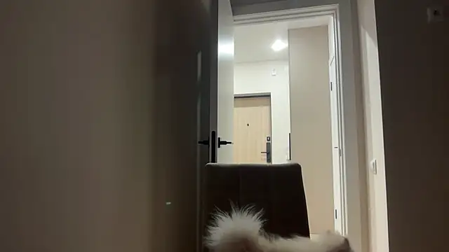 CandysRose online show from 04-29-26, 06:14