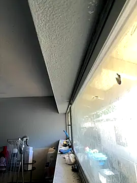 ohleafpix online show from 10-01-25, 08:37