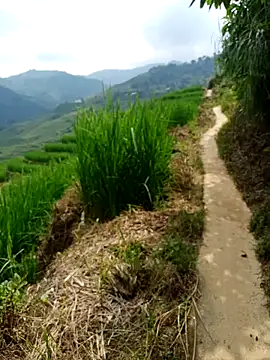 Snapshot of nhinhi-sexy chatting on 10-10-25, 05:39 nhinhi-sexy online show from 10-10-25, 05:39