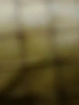 Snapshot of Rs_sonam chatting on 12-03-25, 10:57 Rs sonam online show from 12-03-25, 10:57