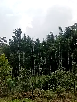 Khanhu xx online show from 03-24-26, 01:32