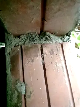 Tuelam xx online show from 10-26-25, 12:05