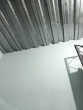 Dani156y online show from 10-30-25, 07:54