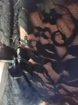 misteriosabb000 online show from 03-17-26, 06:33