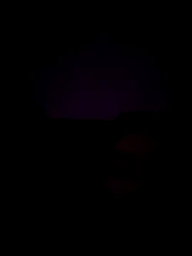 haze1233 online show from 10-29-25, 02:14