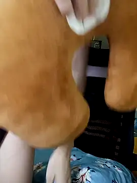 BiCute688 online show from 11-01-25, 04:31