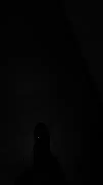 tia   fox online show from 11-24-25, 07:41