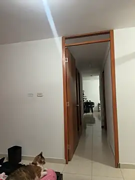 violeticafox online show from 12-21-25, 03:46