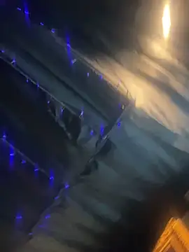 StarElexis online show from 03-17-26, 01:43