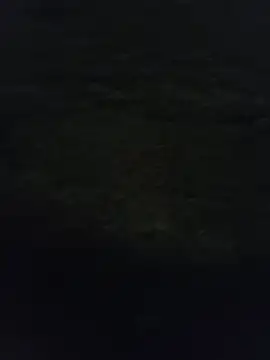 Snapshot of Roberto27051 chatting on 06-14-26, 07:38 Roberto27051 online show from 06-14-26, 07:38