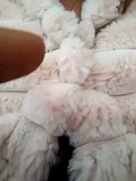 PEEHU-50 online show from 01-17-26, 02:38