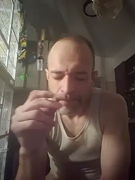 Snapshot of Curious9884 chatting on 11-30-25, 05:28 Curious9884 online show from 11-30-25, 05:28