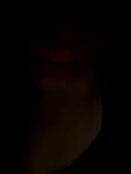 Snapshot of pleasedontpressaredburton chatting on 11-14-25, 01:04 pleasedontpressaredburton online show from 11-14-25, 01:04