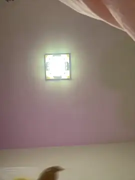 Snapshot of taotaobo chatting on 12-15-25, 02:21 taotaobo online show from 12-15-25, 02:21