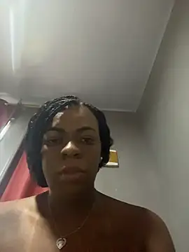 Priihmedeiros online show from 04-14-26, 09:26