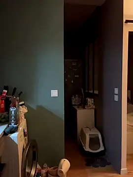 bebecita x online show from 11-14-25, 06:28