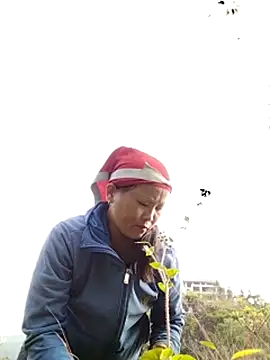 Snapshot of sumaybae chatting on 10-28-25, 01:09 sumaybae online show from 10-28-25, 01:09