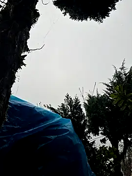 Snapshot of miomio-12 chatting on 11-02-25, 01:35 miomio-12 online show from 11-02-25, 01:35