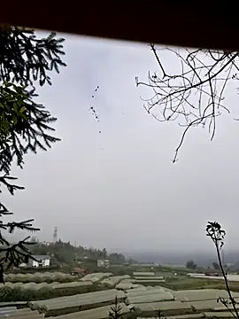 Snapshot of miomio-12 chatting on 11-07-25, 01:38 miomio-12 online show from 11-07-25, 01:38