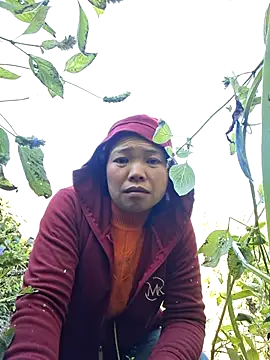 Snapshot of miomio-12 chatting on 11-29-25, 03:09 miomio-12 online show from 11-29-25, 03:09