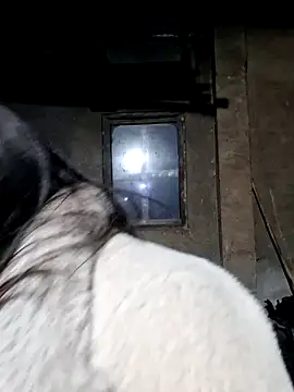 miomio-12 online show from 02-27-26, 12:49