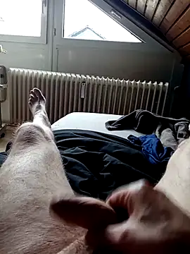 ImperlPerverso59 online show from 10-07-25, 12:24