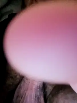 Saif b11b online show from 02-10-26, 02:26