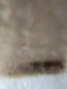 Cr sonam online show from 11-24-25, 11:26