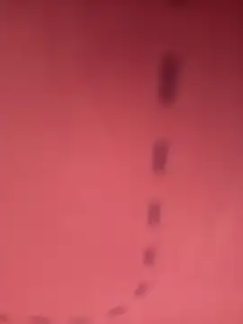 herz19033 online show from 10-29-25, 06:09