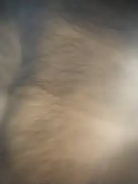 Snapshot of SL_BEAR chatting on 12-04-25, 01:48 SL BEAR online show from 12-04-25, 01:48